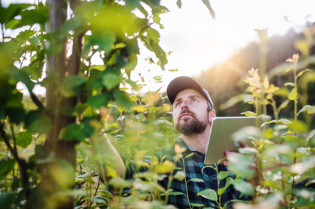 farmer with tablet standing outdoors